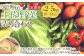 【定期便3回】旬の朝採れ土佐野菜詰め合わせ（10～13品目）