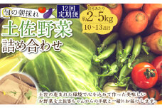 【定期便12回】旬の朝採れ土佐野菜詰め合わせ（10～13品目）詰め合わせ 野菜セット 野菜 ギフト やさいセット お取り寄せグルメ 家庭用 旬野菜 新鮮 特産 農薬不要 食材