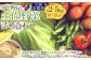 【定期便12回】旬の朝採れ土佐野菜詰め合わせ（10～13品目）