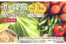 【定期便3回】旬の野菜の詰め合わせと栽培期間中農薬不使用の生姜200g付き 詰め合わせ 野菜セット 野菜 ギフト やさいセット お取り寄せグルメ 家庭用 旬野菜 新鮮 特産 農薬不要 食材