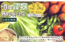 【定期便6回】旬の野菜の詰め合わせと栽培期間中農薬不使用の生姜200g付き 詰め合わせ 野菜セット 野菜 ギフト やさいセット お取り寄せグルメ 家庭用 旬野菜 新鮮 特産 農薬不要 食材