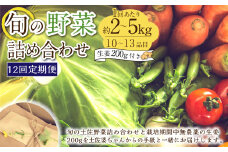 【定期便12回】旬の野菜の詰め合わせと栽培期間中農薬不使用の生姜200g付き 詰め合わせ 野菜セット 野菜 ギフト やさいセット お取り寄せグルメ 家庭用 旬野菜 新鮮 特産 農薬不要 食材