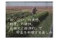 旬の採れたて新鮮野菜セット10品目「新鮮だから美味しい！」