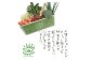 『定期便』野菜詰め合わせセット3ヵ月