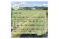 『定期便』野菜詰め合わせセット6ヵ月