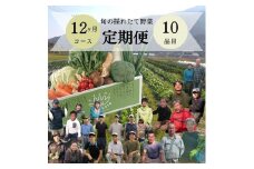 『定期便』野菜詰め合わせセット12ヵ月