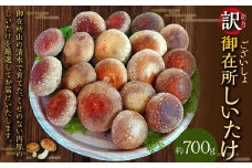 訳あり 御在所しいたけ 約700g（約350g×2） 生しいたけ しいたけ 椎茸 シイタケ 肉厚 山菜 お取り寄せ 冷蔵