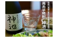 高系芋 焼酎 神池 25度 720ml 2本入