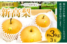 新高梨 3kg（3玉）高知県産 【2024年9月下旬～10月上旬発送予定】 梨 なし ナシ 果物 くだもの フルーツ