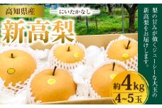 新高梨4kg（4～5玉）高知県産【2024年9月下旬～10月上旬発送予定】 梨 なし ナシ 果物 くだもの フルーツ