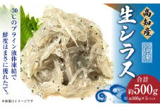 高知産「生シラス」イワシ稚魚 約100gx5パック（タレ付）
