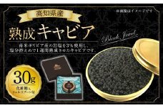 高知県産 熟成 キャビア 30g (化粧箱) シェルスプーン付 Black Jewel