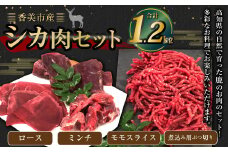 香美市産鹿肉セット（ロース・ミンチ・モモスライス・煮込み用ぶつ切り）計1.2kg ジビエ 鹿肉 鹿 シカ シカ肉 肉