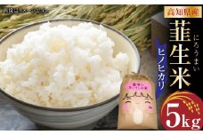 【令和6年産】米ヒノヒカリ 韮生米 高知県産 5kg 【2024年9月下旬~2025年１月下旬迄発送】 お米 米 ヒノヒカリ ひのひかり 精米