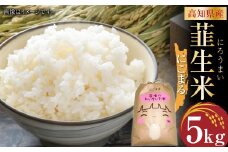 【令和6年産】米にこまる 韮生米 令和6年 高知県産 5kg 【2024年9月下旬~2025年１月下旬迄発送】 お米 米 にこまる 精米
