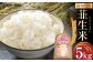 米にこまる 韮生米 令和6年 高知県産 5kg