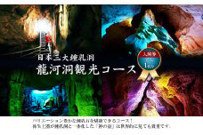 【日本三大鍾乳洞】龍河洞観光コース入洞券 大人1名分 チケット 鍾乳洞 洞窟 地下 観光 歴史 自然