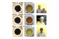 「大抜茶」新茶3種【為近農園 釜炒り茶(25g)・コハマ農園 緑茶(60g)・ 山本製茶園 玉緑茶(50g)】