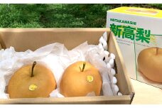 新高梨2kg（2玉）高知県産【2024年9月下旬～10月上旬発送予定】 梨 なし ナシ 果物 くだもの フルーツ