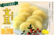 JAS 有機栽培 文旦 3kg 家庭用 ぶんたん 柑橘 フルーツ 果物 お取り寄せ 【2025年2月上旬～3月上旬迄発送予定】