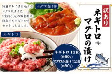 ネギトロ 約80g×12パック＋マグロの漬け 約80g×12パック ねぎとろ マグロ まぐろたたき 手巻き 漬け 丼 海鮮 個包装 高知県 香美市