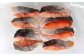 鮭の切身（魚醤漬） 約1.6kg（約400g×4パック）