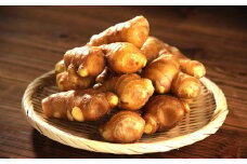 【高知県産】黄金しょうが 2kg ショウガ 生姜 野菜 特産品