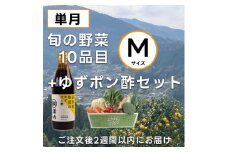 高知の野菜（10品目）＋ゆずポン酢セット ／ 野菜 やさい ゆずポン酢 ゆずぽん酢 柚子ポン酢 柚子ぽん酢 セット 旬野菜 高知県 香美市 冷蔵