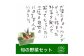 高知の野菜（13品目）＋ゆずポン酢セット