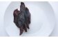 高知産 犬用おやつ 鹿肉ジャーキー 約45g×1袋