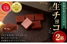 「にっぽんの宝物世界大会2023 日本と海外の融合部門 第2位獲得！」 【世界を変えるカカオ】 生チョコレート 計2箱（1箱5個入） ／ チョコレート 生チョコ カカオ カカオスイーツ お菓子 洋菓子 スイーツ デザート 冷凍
