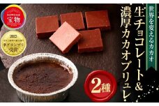「にっぽんの宝物世界大会2023 日本と海外の融合部門 第2位獲得！」 【世界を変えるカカオ】 生チョコレート ＆ 濃厚カカオブリュレ 計2箱（各1箱） ／ チョコレート 生チョコ ブリュレ クリームブリュレ カカオ カカオスイーツ お菓子 洋菓子 スイーツ デザート 冷凍