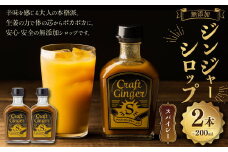 Craft Ginger S 200ml×2 生姜 ショウガ しょうが ジンジャー シロップ