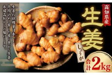 高知県産生姜 2kg 生姜 ショウガ しょうが ジンジャー 野菜 薬味