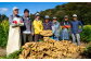 高知県産生姜 2kg