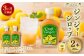 【3ヵ月定期便】Craft GingerY（ゆず） 200ml×2 無添加 国産 ピリリと生姜にゆず香る ジンジャーシロップ