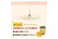 【自然王国 公式】生しぼり しょうが湯 & しょうが入り 甘酒 各7袋 セット