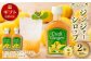 【ギフト包装対応】Craft GingerY（ゆず） 200ml×2