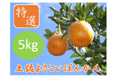 ＜先行予約＞土佐よさこいぽんかん【特選5kg】　JA01