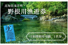 野根川遊漁券（令和7年度 年間利用券） 高知県東洋町 清流 鮎 NO2