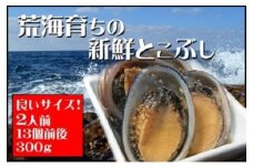 活き〆とこぶし 2人前300g 冷凍 国産 とこぶし トコブシ ながれこ ナガレコ 新鮮 高知県 東洋町 四国 お取り寄せ 送料無料 S121