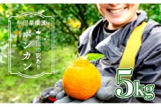 ＜先行予約＞生田の訳ありポンカン【5kg】 国産 東洋町産 訳アリ 甘い コク ジューシー 果肉 高知県 東洋町 四国 お取り寄せ フルーツ 果物 家庭用 自宅用 送料無料 I12