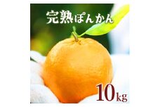 【先行予約】完熟ぽんかん＜10kg＞　F112