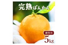 ＜先行予約＞【贈答用】完熟ぽんかん(特大サイズ) 5kg　F116