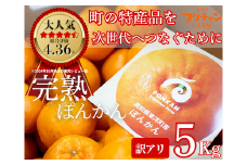 ＜先行予約＞訳アリ完熟ぽんかん 5kg 国産 東洋町産 訳あり 甘酸っぱい ジューシー 高知県 東洋町 四国 お取り寄せ フルーツ 蜜柑 ミカン 果物 送料無料 産地直送 F119