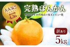 ＜先行予約＞訳アリ完熟ぽんかん 5kg 国産 東洋町産 訳あり 甘酸っぱい ジューシー 高知県 東洋町 四国 お取り寄せ フルーツ 蜜柑 ミカン 果物 送料無料 産地直送 F119