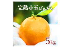 【先行予約】完熟小玉ぽんかん＜5kg＞　F125
