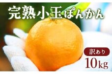 【先行予約】訳アリ完熟小玉ぽんかん＜10kg＞ 国産 東洋町産 訳あり 甘い コク ジューシー 蜜柑 ミカン 果肉 高知県 東洋町 四国 お取り寄せ フルーツ 果物 家庭用 自宅用 送料無料 産地直送 F126
