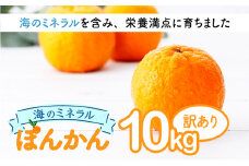 【先行予約】ポンカン 海のミネラルをたっぷり含んだ甲浦のポンカン 10kg〈訳あり〉 国産 東洋町産 訳アリ 甘い 栄養たっぷり ジューシー 果肉 四国 お取り寄せ フルーツ 蜜柑 ミカン 果物 家庭用 自宅用 送料無料 H23