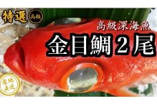 土佐甲浦　釣り金目鯛！調理済み　2尾まるごと！　M132